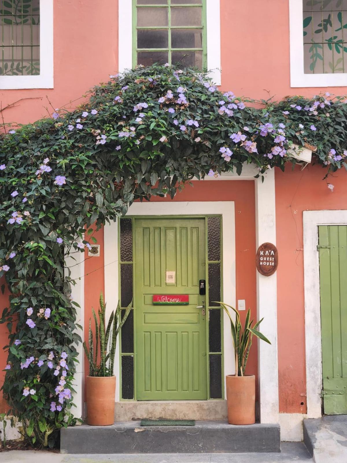 Ka'A Guest House أوباتوبا المظهر الخارجي الصورة